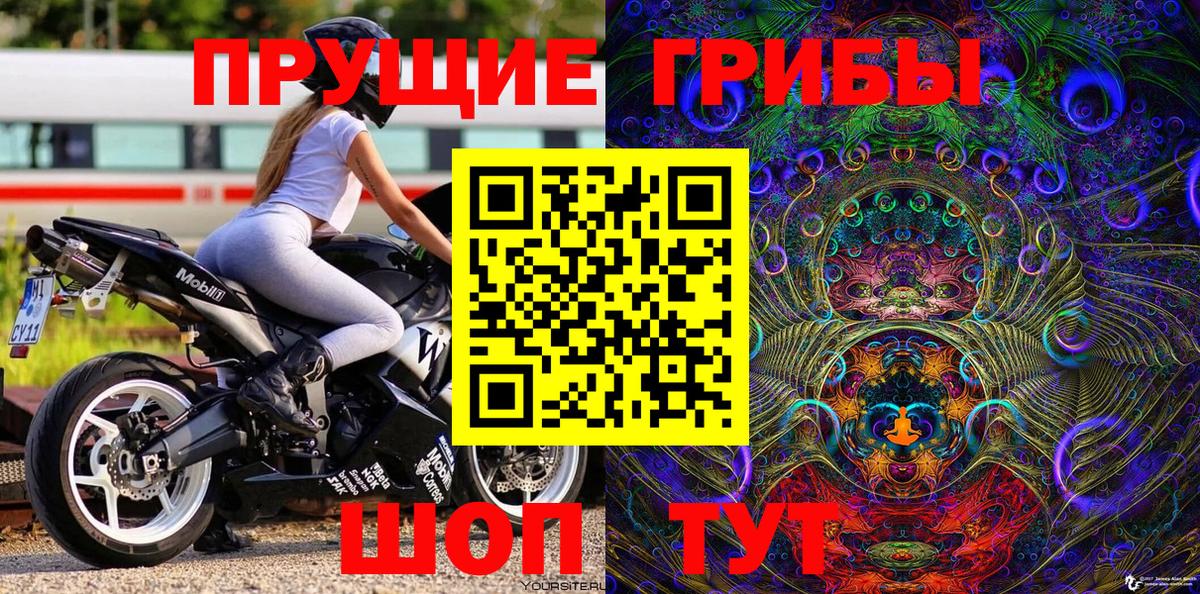 Строитель  Галлюциногенные грибы GOLDEN TEACHER  где найти наркотики  Вход с VPN 